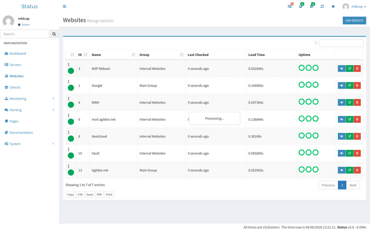 Website Monitoring